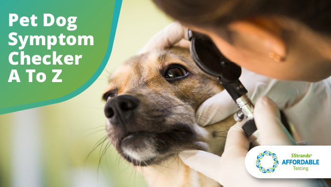 Pet Dog Symptom Checker A To Z | 5Strands