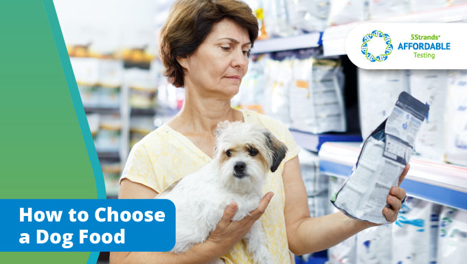 How To Choose A Dog Food