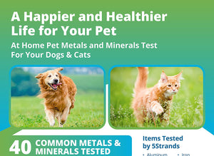 Pet Heavy Metals & Minerals Imbalance Test (Digital)