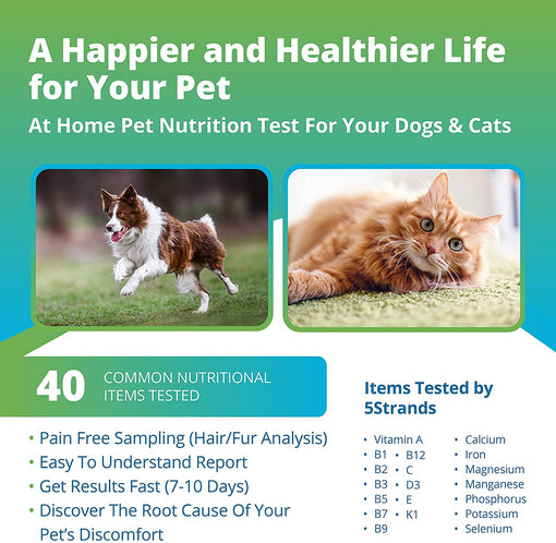 Pet Vitamins & Minerals Imbalance Test (Previous Hair Sample Required)