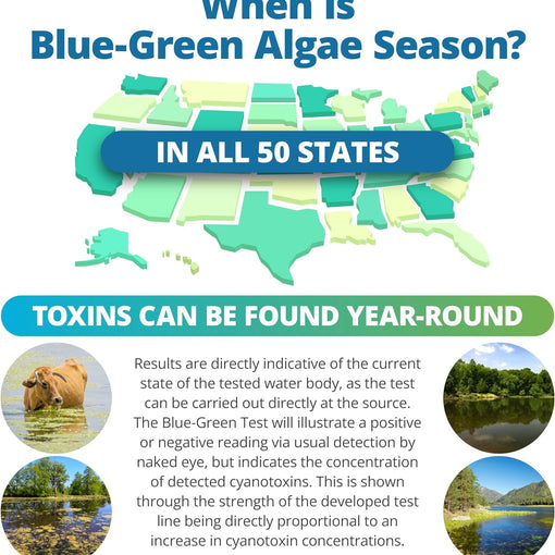 blue green algae season all 50 states year round