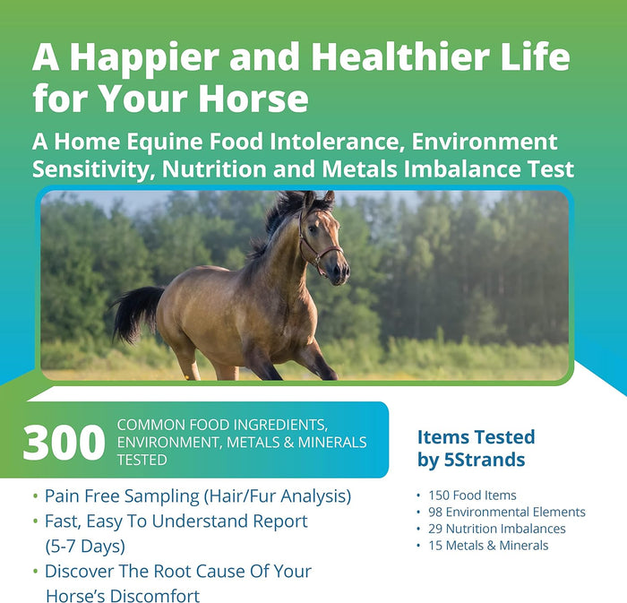 Comprehensive Equine Health Assessment