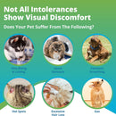 Dog and cat intolerance symptoms