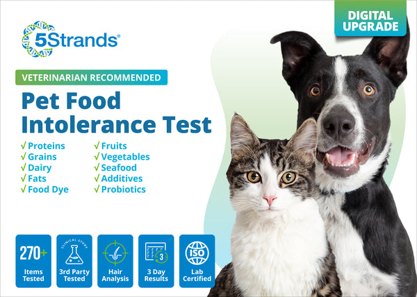 Pet Food Intolerance Test (Digital)