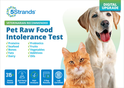 Pet Raw Food Intolerance Test (Digital)