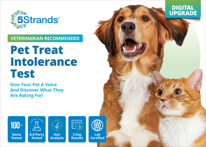 Pet Treat Intolerance Test (Digital)