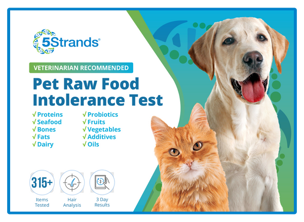 Pet Raw Food Intolerance Test (Digital)