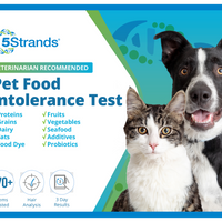 Pet Food Intolerance Test (Digital)