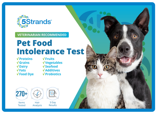 Pet Food Intolerance Test (Digital)