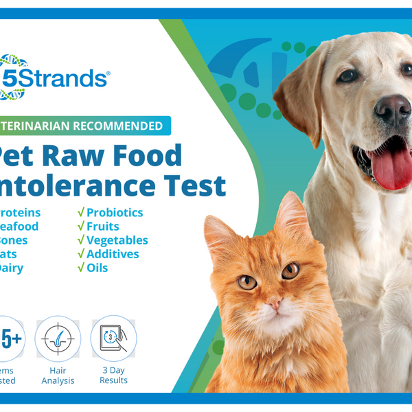 Pet Raw Food Intolerance Test (Digital)