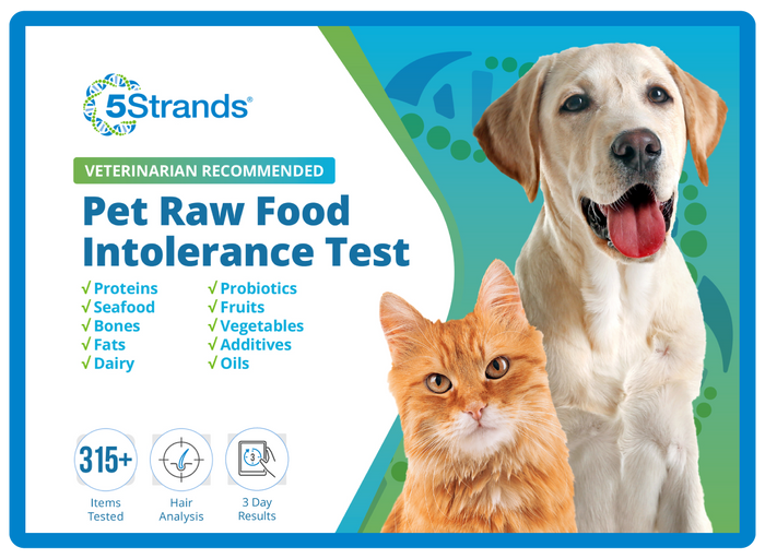 Pet Raw Food Intolerance Test (Digital)