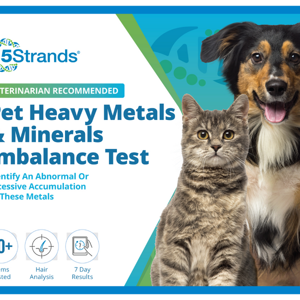 Pet Heavy Metals & Minerals Imbalance Test (Digital)