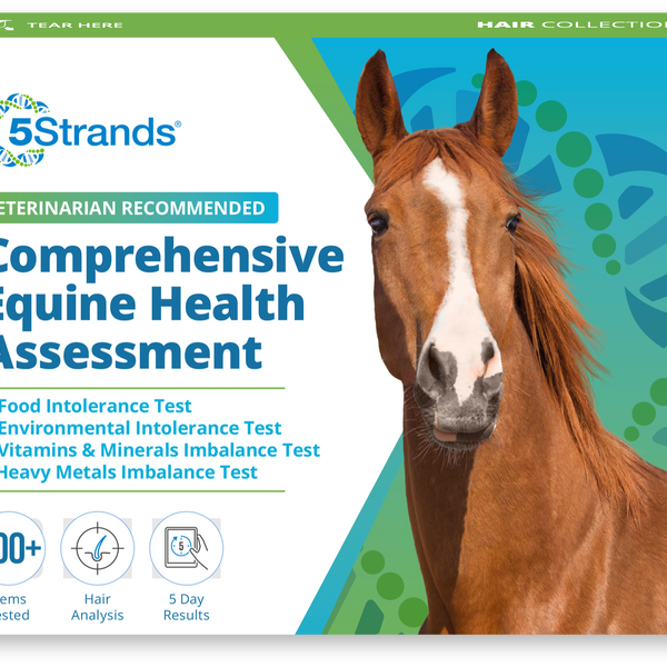 Comprehensive Equine Health Assessment