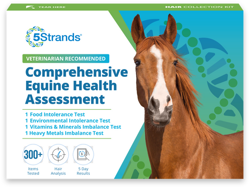 Comprehensive Equine Health Assessment Wholesale