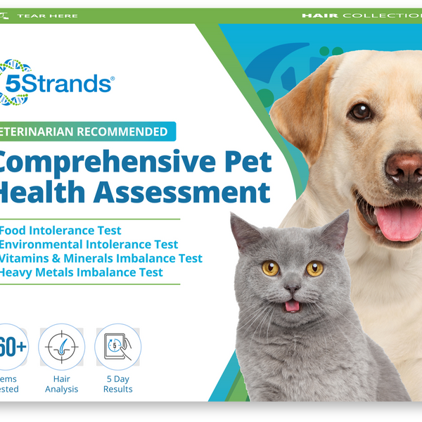 Pet Intolerances & Imbalances Test