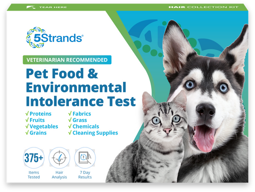 pet food and environmental intolerance test kit