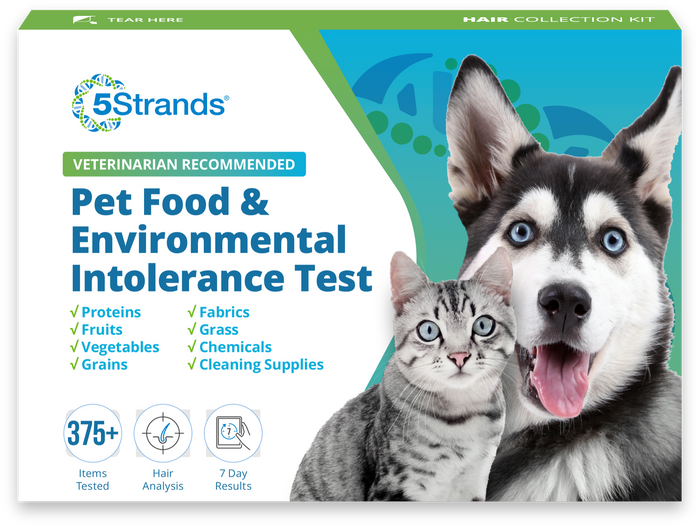 pet food and environmental intolerance test kit