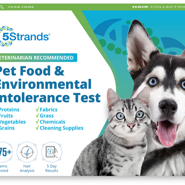 Pet Food & Environmental Intolerance Test