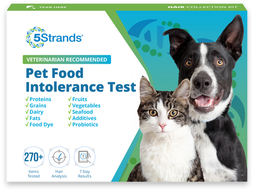 pet food intolerance test kit
