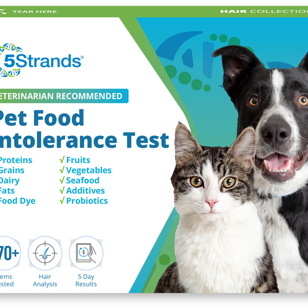 Pet Food Intolerance Test Wholesale