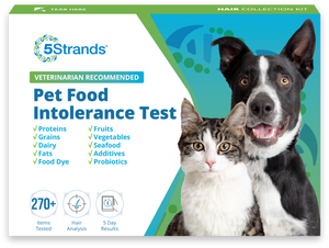 Pet Food Intolerance Test