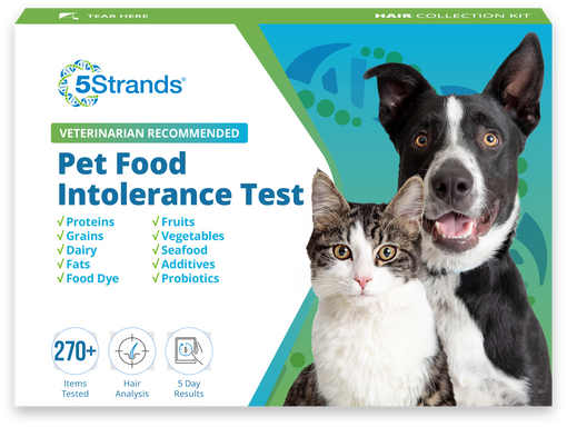 Pet Food Intolerance Test Wholesale