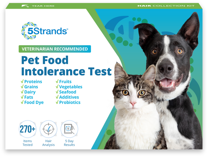 Pet Food Intolerance Test