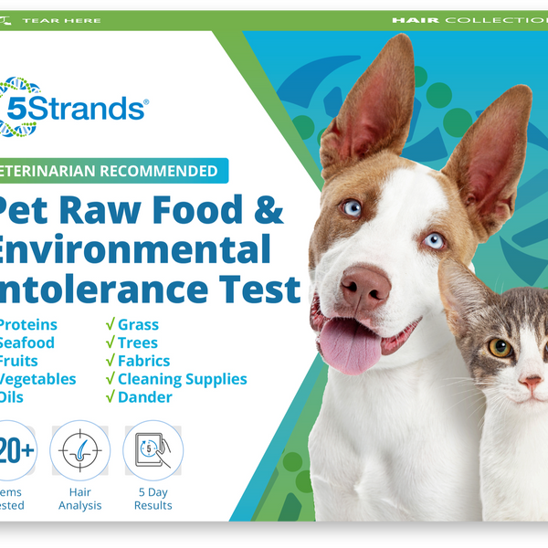 Pet Raw Food & Environmental Intolerance Test