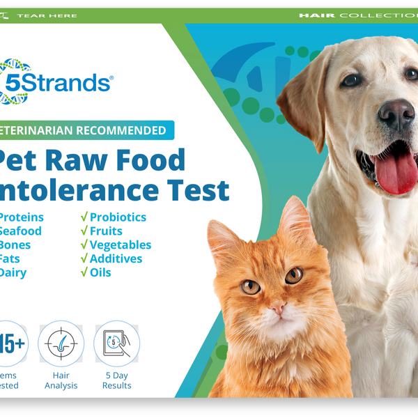 Pet Raw Food Intolerance Test