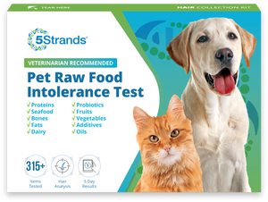 Pet Raw Food Intolerance Test