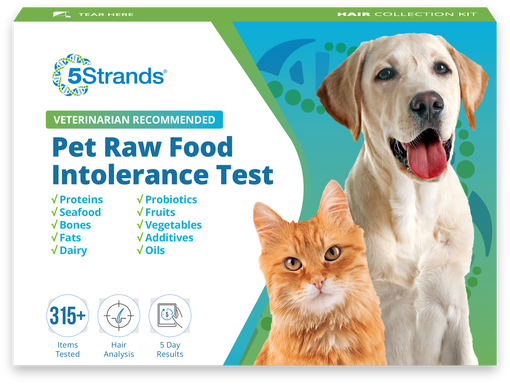 Pet Raw Food Intolerance Test Wholesale