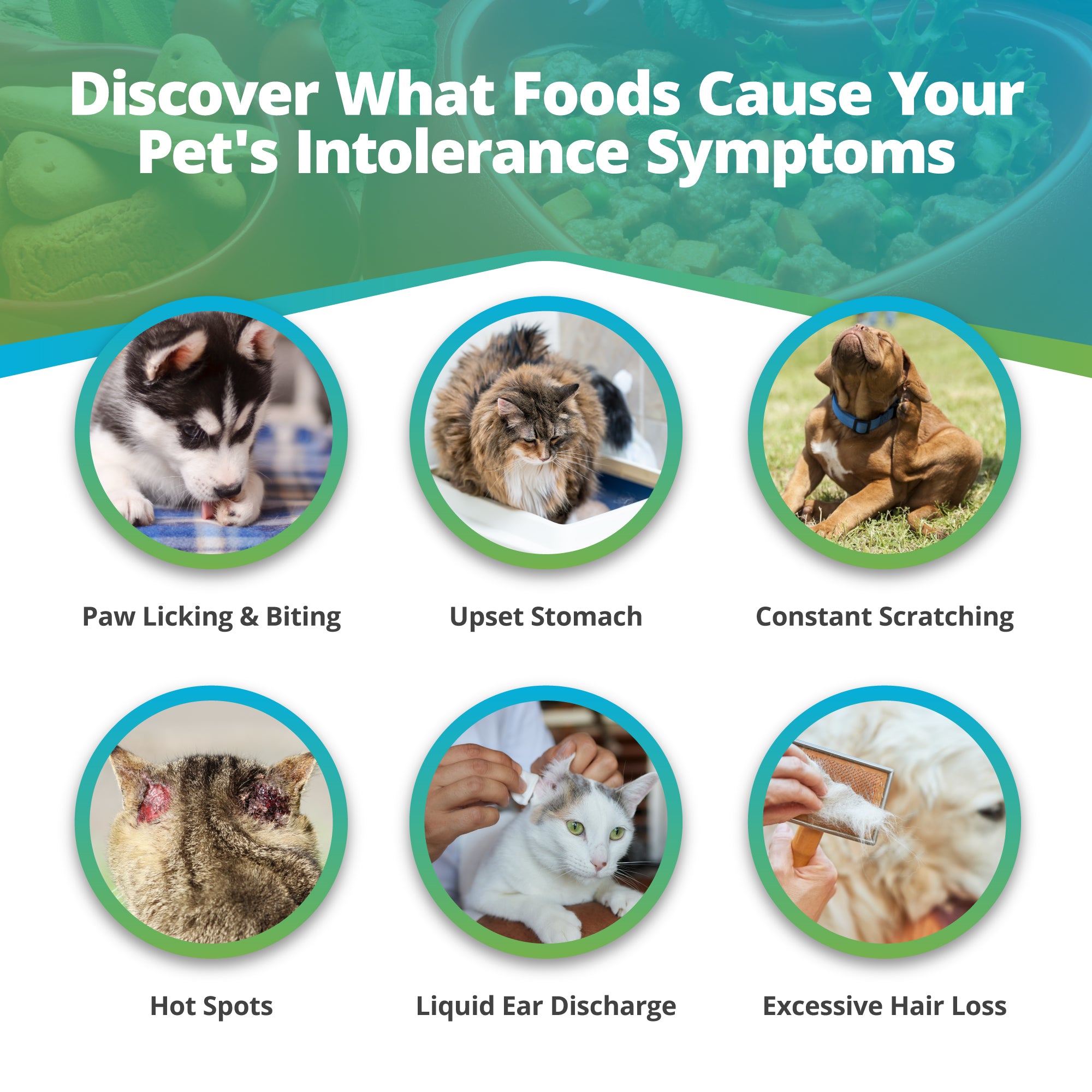 Dog Cat Food Intolerance Imbalance Testing Kits 5Strands