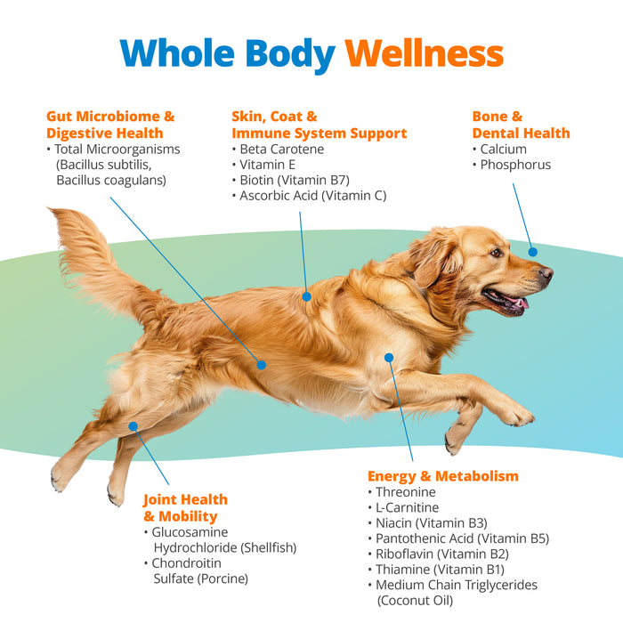 Whole body wellness for Dogs