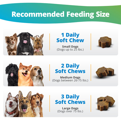 daily dosage for dog multivitamin chews