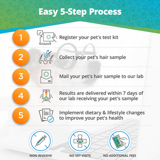 Pet Intolerances & Imbalances Test