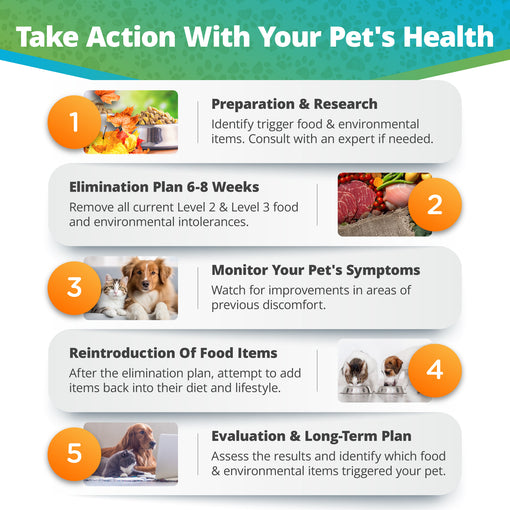 Pet Intolerances & Imbalances Test