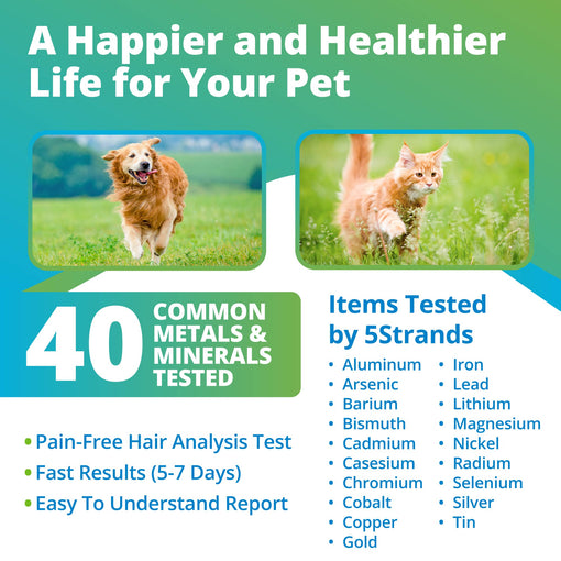 Pet Heavy Metals & Minerals Imbalance Test (Digital)