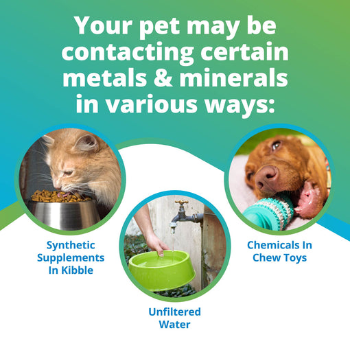 Pet Heavy Metals & Minerals Imbalance Test (Digital)