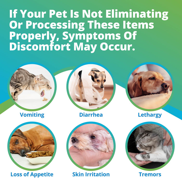 Pet Heavy Metals & Minerals Imbalance Test (Digital)