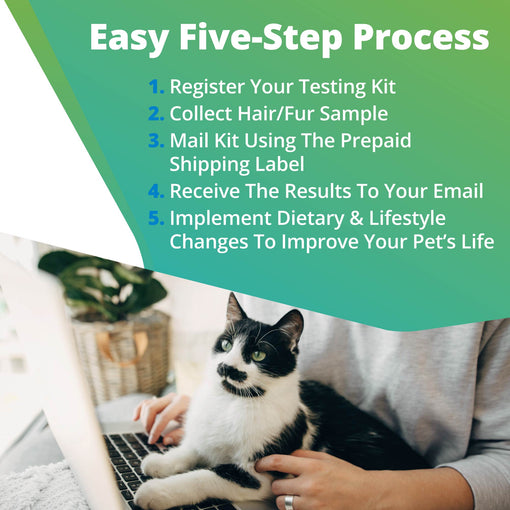 Pet Heavy Metals & Minerals Imbalance Test (Digital)