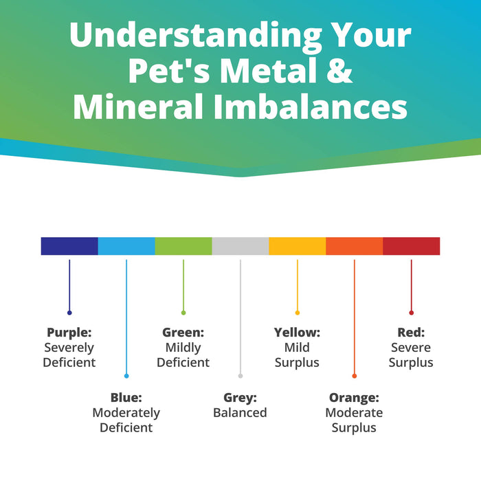 Pet Heavy Metals & Minerals Imbalance Test (Digital)