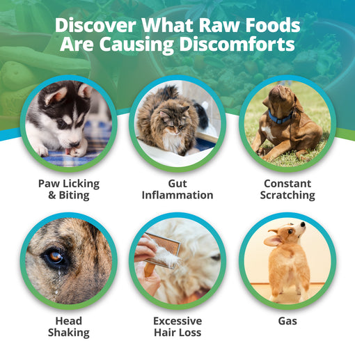 Pet Raw Food & Environmental Intolerance Test