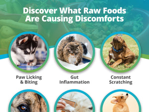 Pet Raw Food & Environmental Intolerance Test