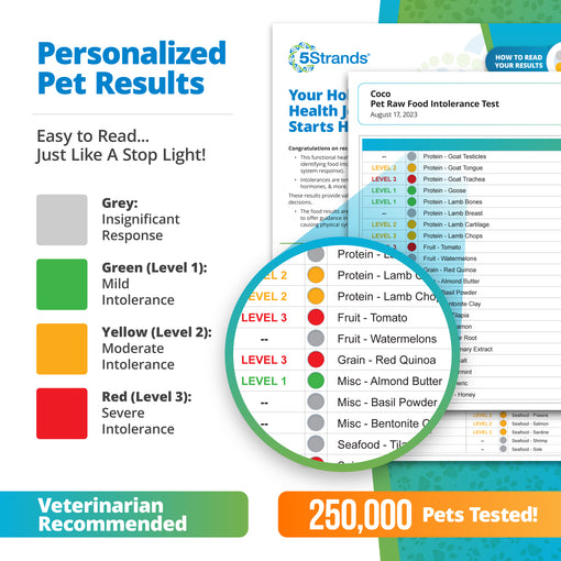 Pet Raw Food & Environmental Intolerance Test