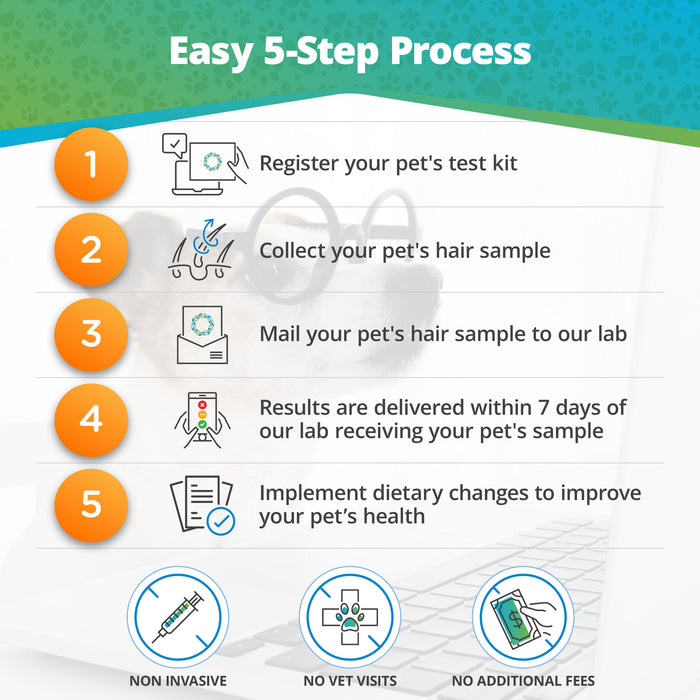 Pet Raw Food & Environmental Intolerance Test