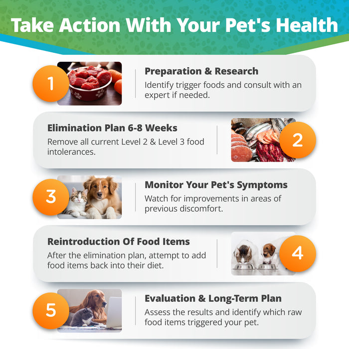 Pet Raw Food & Environmental Intolerance Test