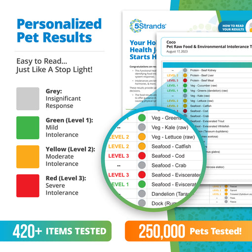pet raw food and environmental intolerance testing results