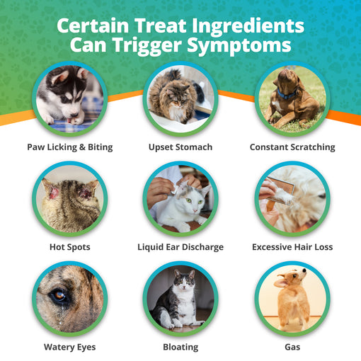 Pet Treat Intolerance Test (Digital)