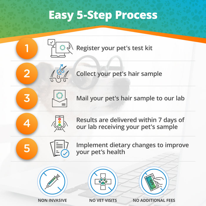 Pet Treat Intolerance Test (Digital)