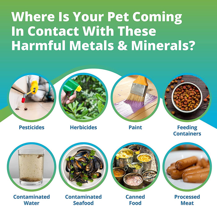 Pet Heavy Metals & Minerals Test Wholesale